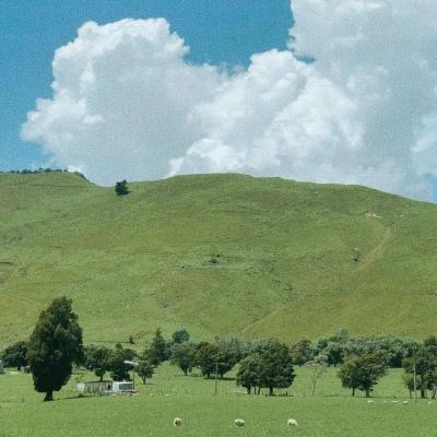 焕新启航，探索全新EAO网站！