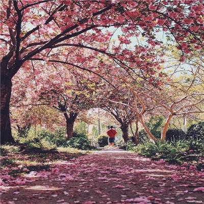 世界首个无线缆箱式超节点！scal...