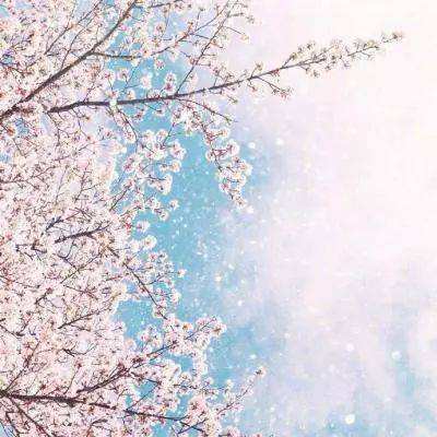 特朗普将任命扎克伯格、埃里森、黄仁勋加入科技顾问委员会