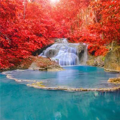 沪指收涨1.30%重返3900点 全市场近4900只个股上涨